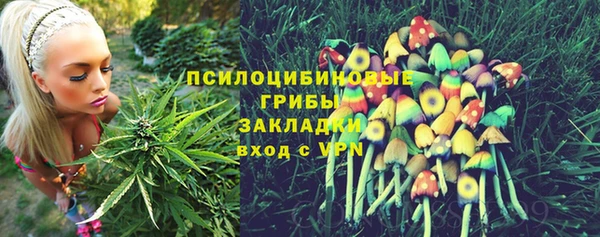 мескалин Нефтегорск