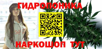 apvp Кинель