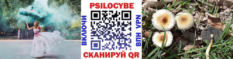 Псилоцибиновые грибы MAGIC MUSHROOMS  где купить наркотик  Златоуст 