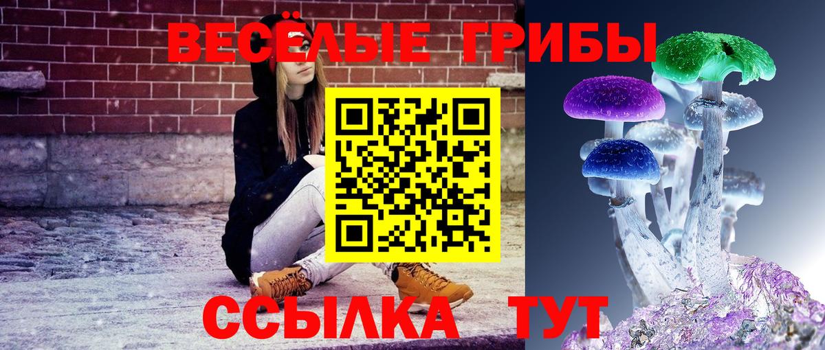 Златоуст  Галлюциногенные грибы мухоморы  купить наркоту  Вход с VPN 